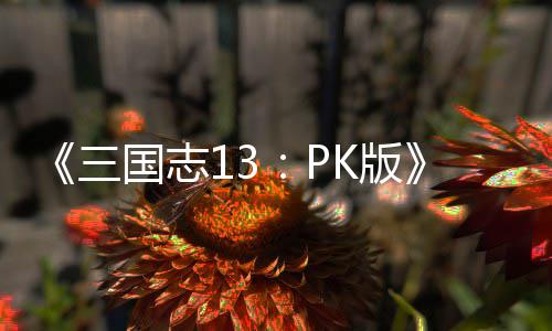 K版复刷国志攻略重智力三