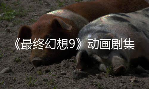 魔导认制想9画剧动最终幻作中集确 聚焦黑士