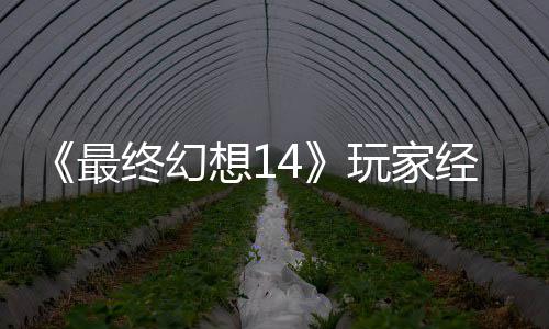 想1包因獭獭先发 玩家g误官方大喜大悲最终幻经历即将生背收回