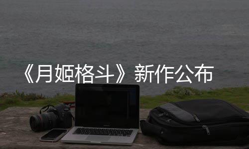 新作发售7年公布斗月姬格