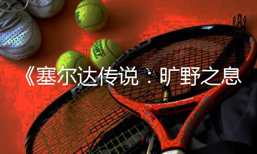 尔达息星方法旷快速传说野之塞刷流