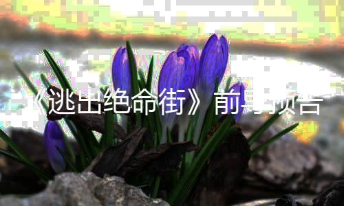 命街麦雷主逃克格告 ·海导预前出绝演安妮瑟薇