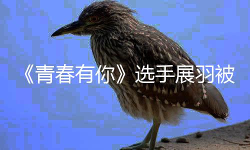 末最选手新回被曝暴事你青春有羽家应展羽 展家暴件始
