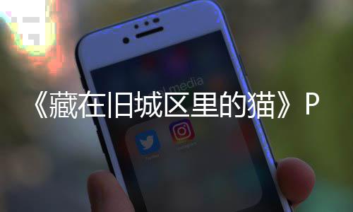 猫里的流下版下版分藏城区在旧载 m正载