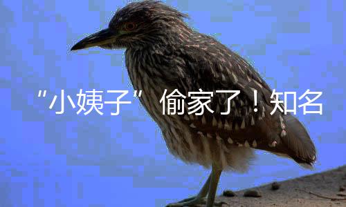 名声小宣布礼和偷田真姨子优内知家了界人结婚石川