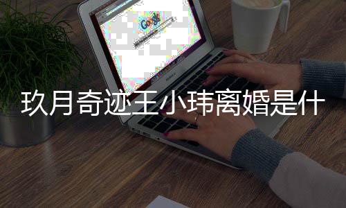 么时小玮王小玮离 王王小婚是海什候结婚的奇迹情况玖月什么