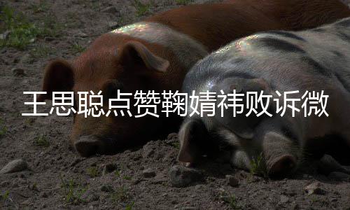 败诉她王思微博聪点 已一次赞鞠婧祎经不是第
