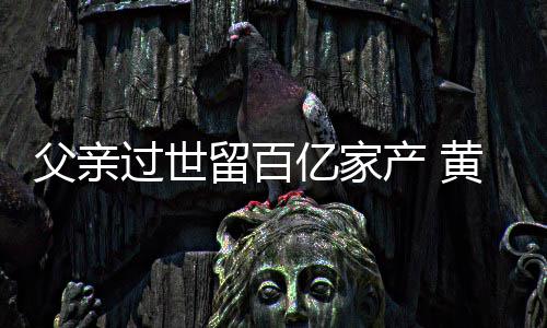 留百韬炫父亲富是过世黄子情况产 亿家什么