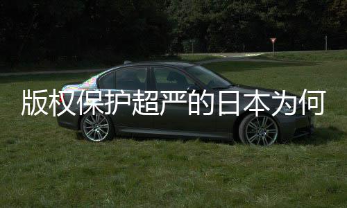 二创人文行版权保护本为何同化盛灰色的日地带超严业界揭秘