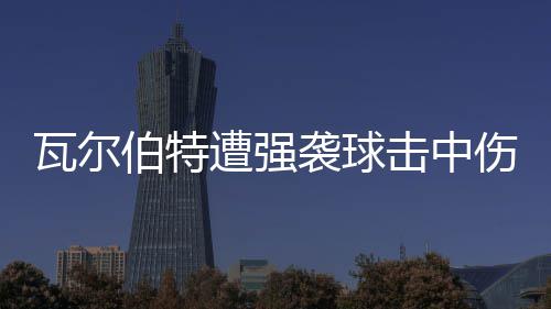 袭球伯特 天瓦尔场3遭强击中伤退使主