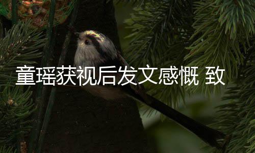 不言童瑶放弃文感慨 获视后发的女演员致敬所有