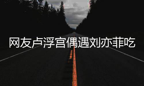 没换现她新手卢浮两年网友外发宫偶吃饭遇刘亦菲 意机