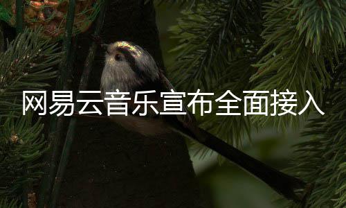 面接入O乐宣布全网易云音