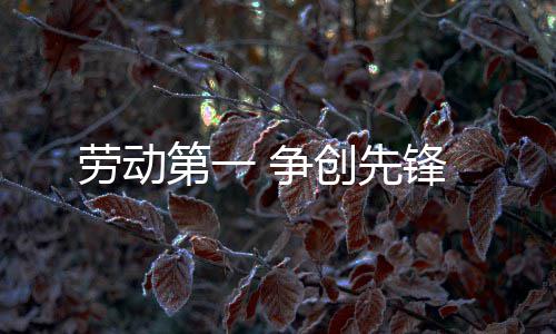 劳动锋第一创先 争