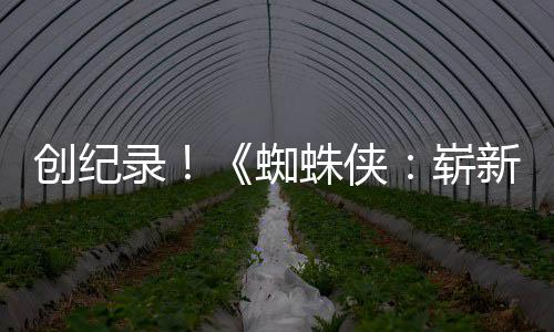 日新之小时录破5看创纪预告亿观蜘蛛侠崭