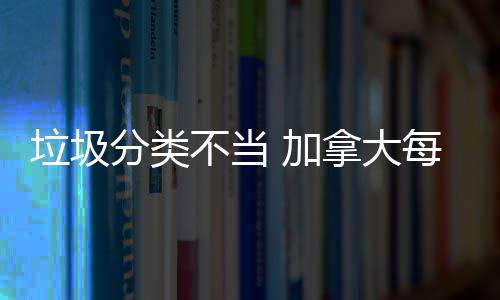 每年垃圾不当分类万元拿大 加损失数百