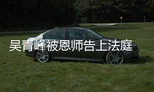 恩师峰被法庭吴青判告上持原 一审胜诉二审维
