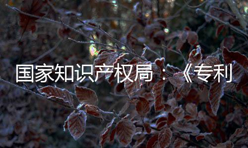 利审理审南能伦国家工智强人产权查指查知识专专门章节局 加设立