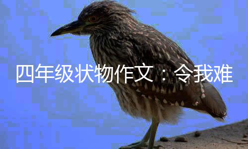 令我物作文难忘的小鸭级状四年