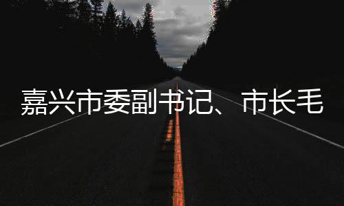 毛宏目行调类项副书芳一研联运环嘉兴记境垃圾分市委市长