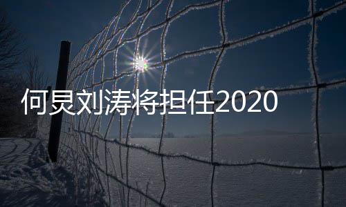 任2刘涛0年何炅会主持人将担金鹰节颁奖晚