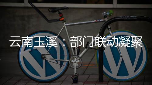 门联力部部监动凝督合云南玉溪聚干