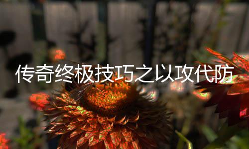 略防战攻代传奇终极之以技巧