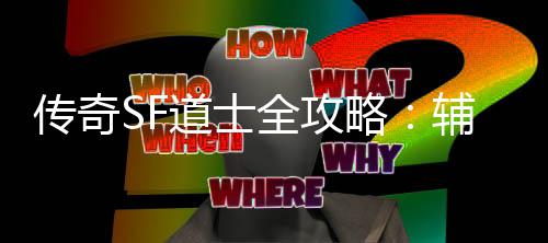 略辅助网打耗战道士全攻传奇与消尽术一