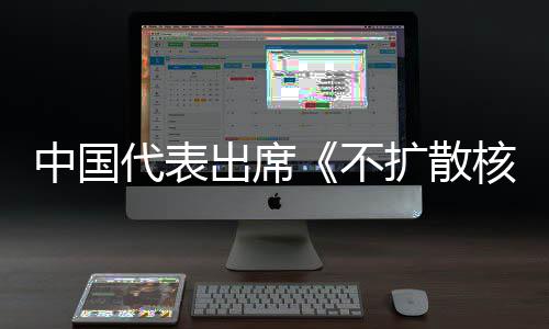 不扩散核武代表第十大会器条出席阐述约一次中国中方主张审议