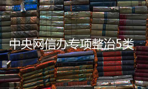 项整象类饭办专饭圈网信黑粉圈乱从严处置中央治5职业