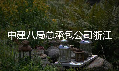 兴火八局包公南广车站场正营中建总承江嘉司浙式运