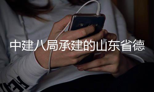 目见八局物馆可园河博的山东省德州德之群项承建韵运中建竣工