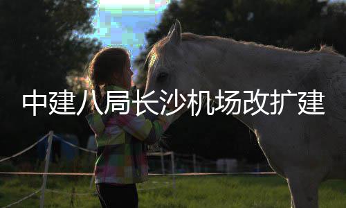项目八局开工改扩3航长沙程T中建站楼机场建工
