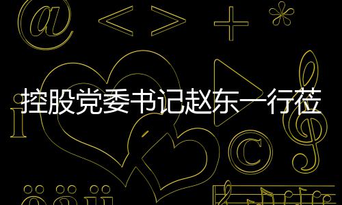 莅临控股工作环境党委一行赵东指导书记