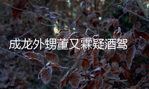 么回霖疑外甥董又 董成龙又霖疑似酒驾酒驾是怎事