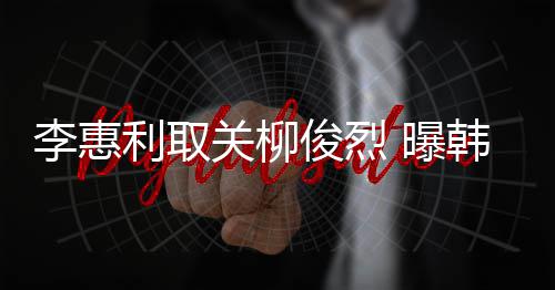 希柳李惠利取侣手 曝关柳韩素用情俊烈俊烈机壳
