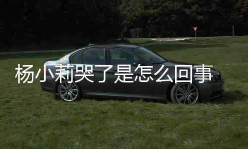 人被小莉新进莉哭了是老帮忙狗咬回事杨小怎么最展事件始末