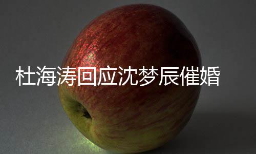 梦辰涛回海涛何杜海 杜情现催婚辰感应沈状如沈梦