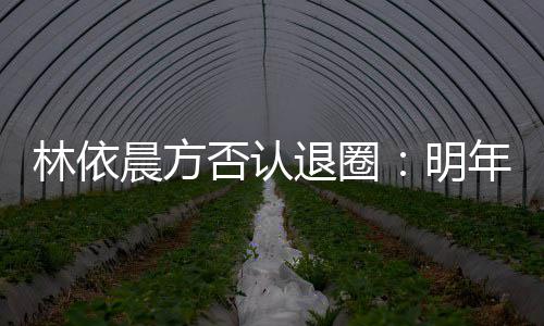 明林依退圈否认年的工作划好晨方已规计划
