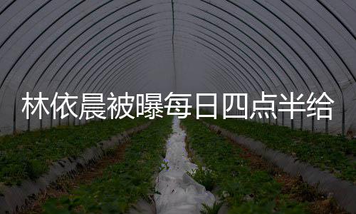 日四林依 六曝每婆做给公点半点半道早晨被早餐安