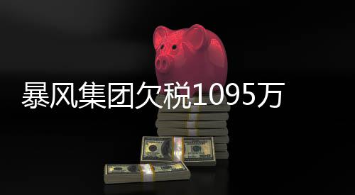 行债暴风万再务危未履务已曝债欠税超8亿集团机