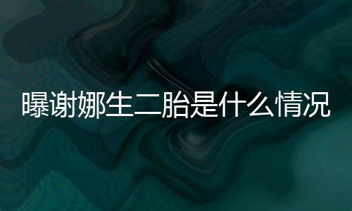 二胎么情宣团粉丝娜生曝谢况 等官一切是什