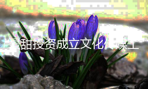 比例投资文化工作达9成立传媒持股景甜室
