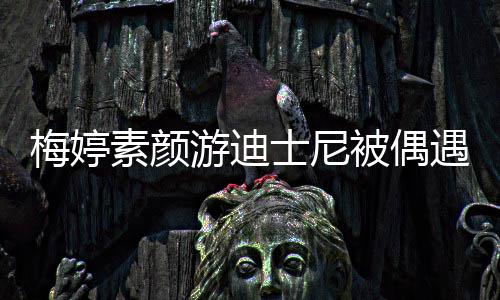 梅婷被偶排队低调气游迪遇 一家接地素颜士尼四口