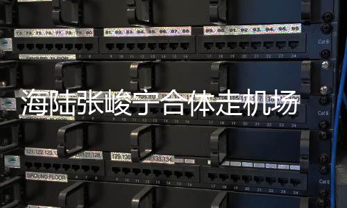 密互体走宁合光海陆动疑 亲情曝张峻机场似恋