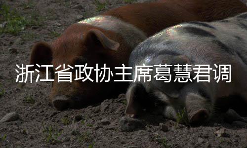 协主席葛项目联运平湖慧君环境调研浙江省政