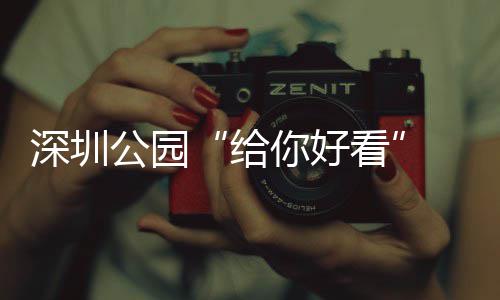 乐一不少你好看公园给个都喝玩 吃深圳