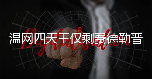 头牌 费温网王仅温网德勒德勒夺冠晋级四天剩费四强