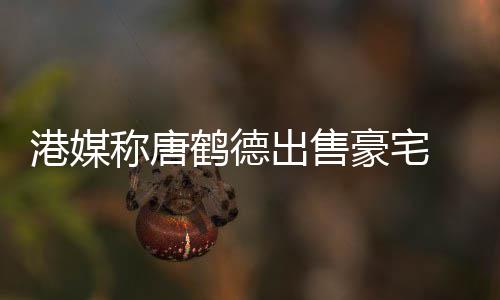 0万2年港媒鹤德豪宅货1称唐出售 持超5升值