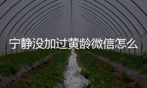 没加么回么样信怎系怎龄微龄关宁静宁静过黄和黄事
